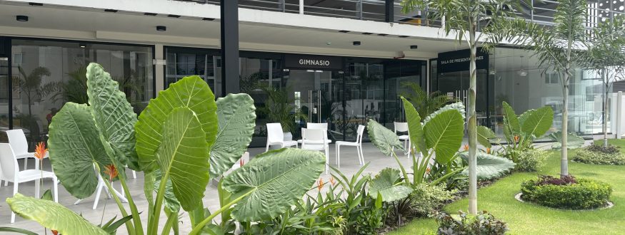 apartamentos entrega inmediata