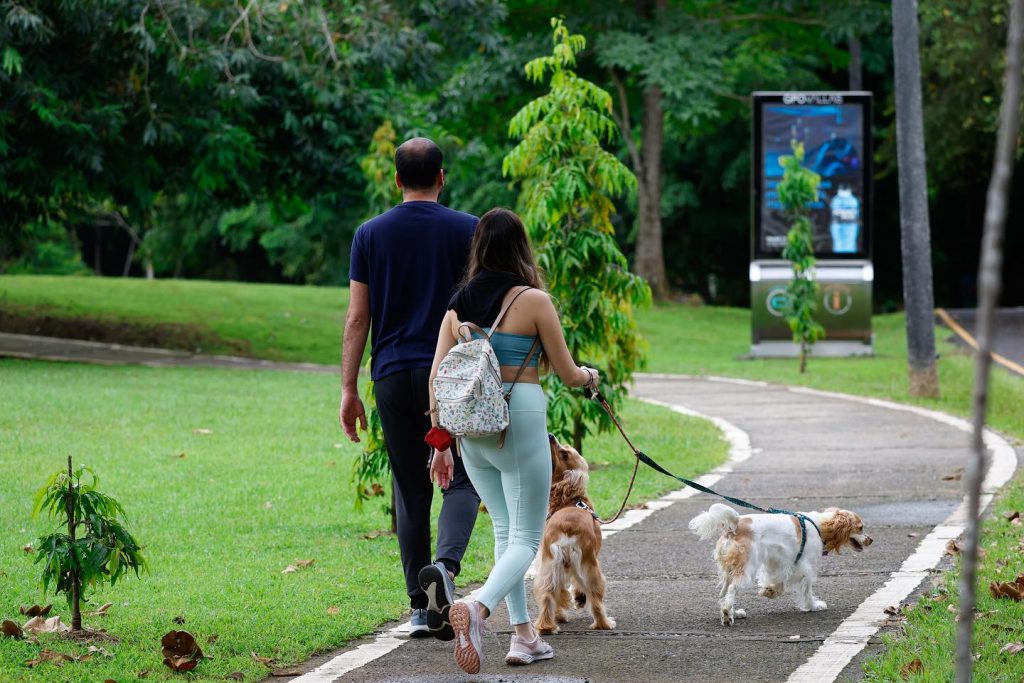 Parque Omar