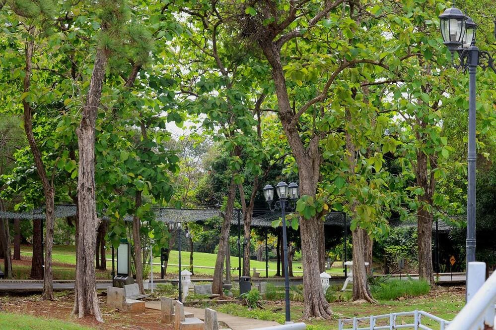 panama viejo parque (4) Parque Recreativo Omar